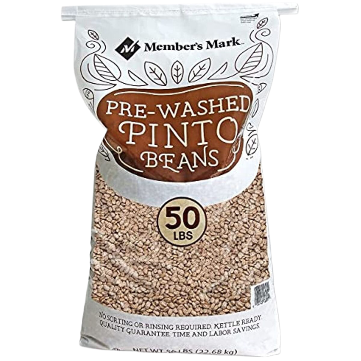 Pinto Beans