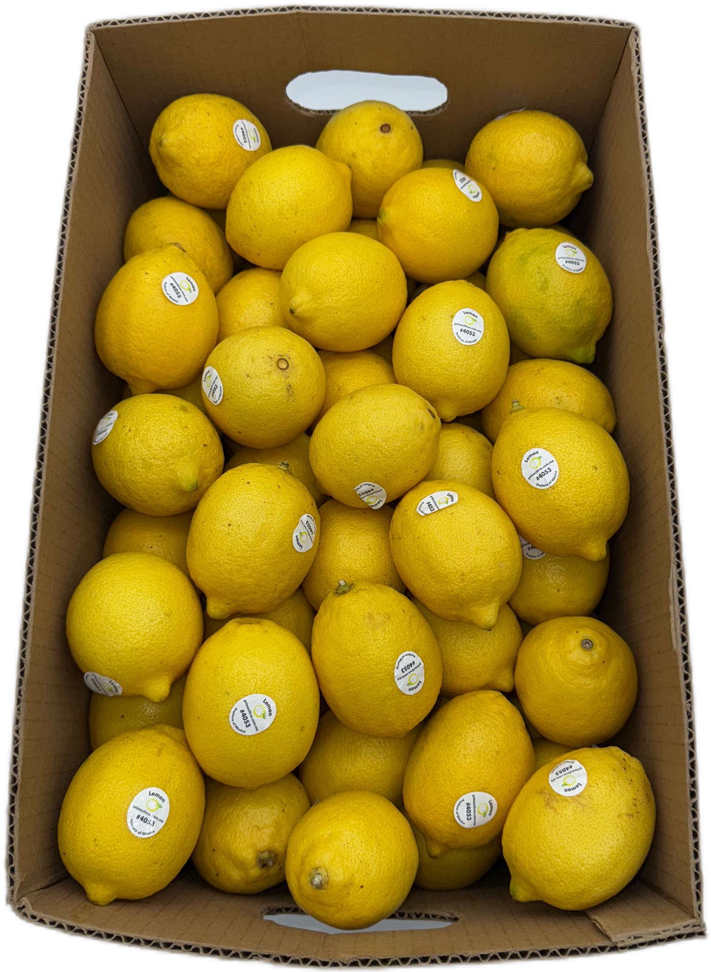 Lemon