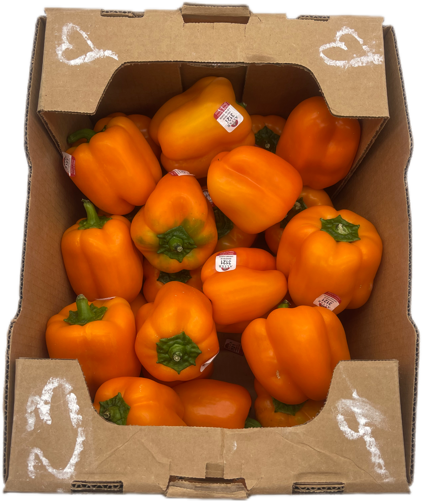 Orange Bell Pepper