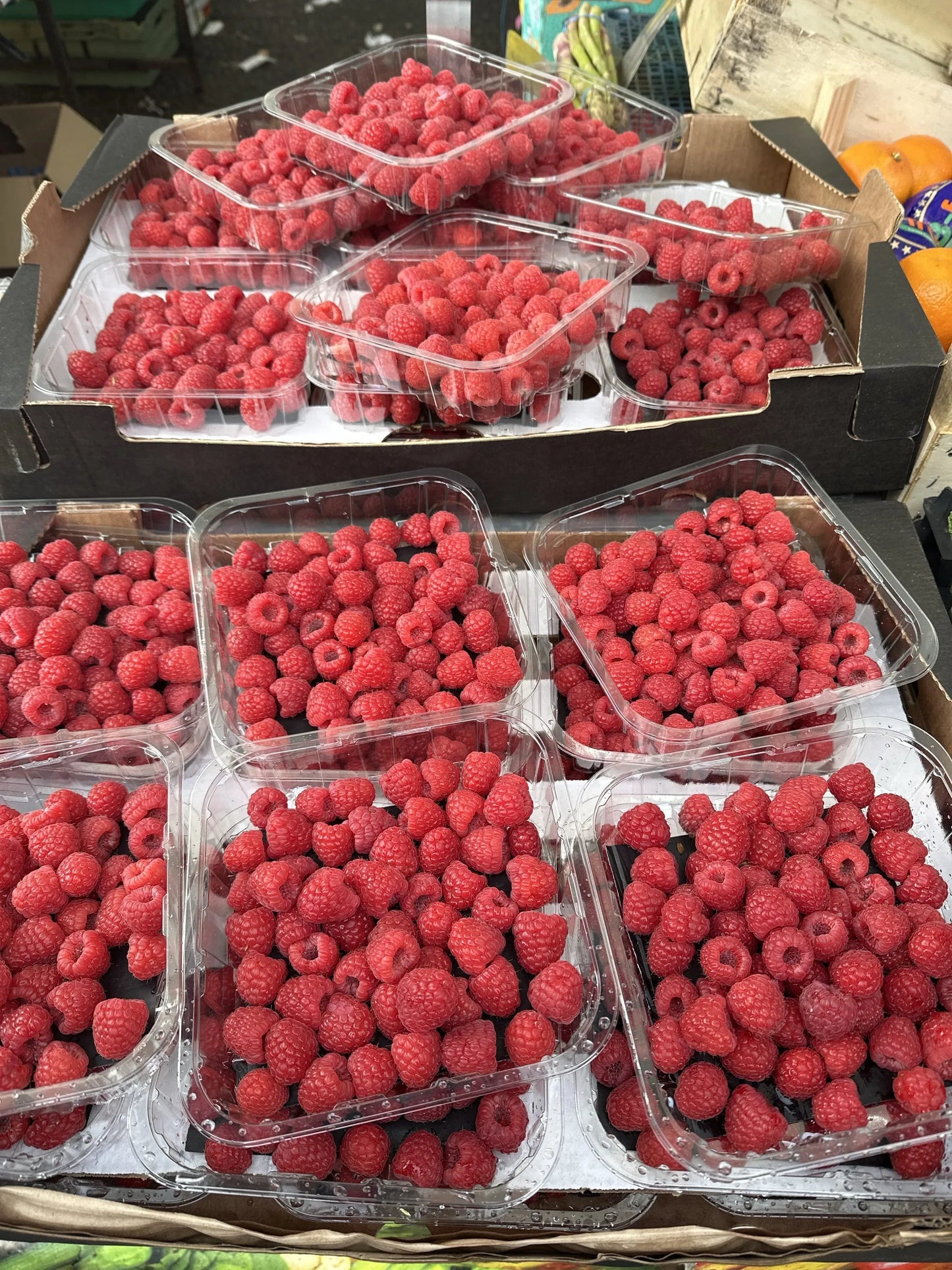 Rasberries