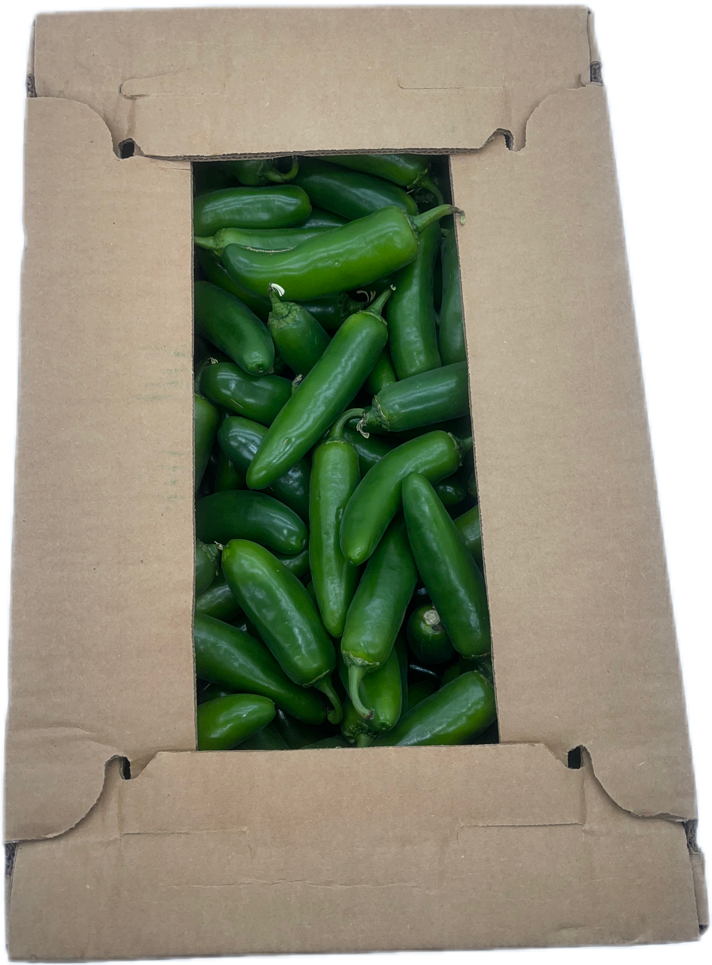 Jalapeno