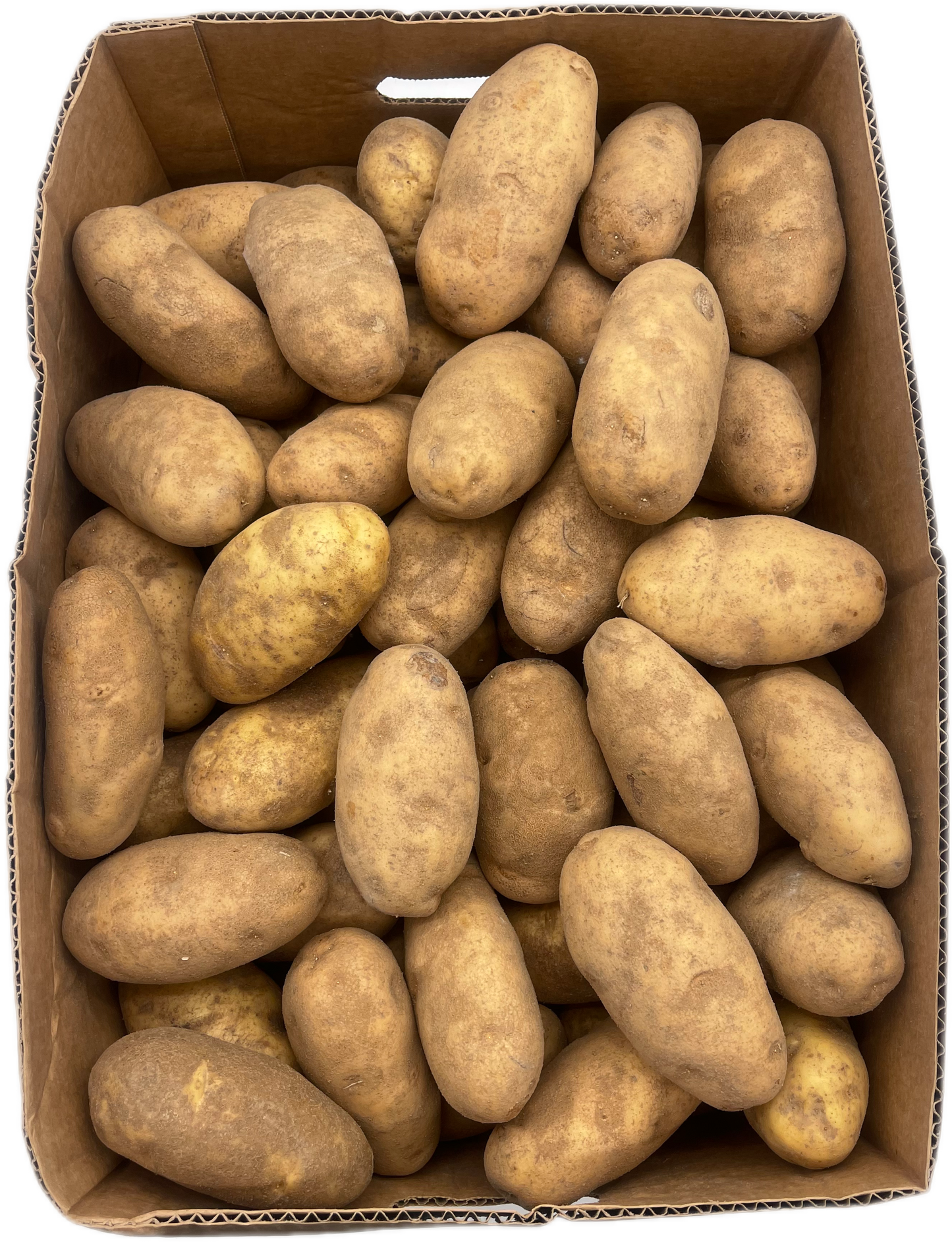 Potatoe Russet 40s