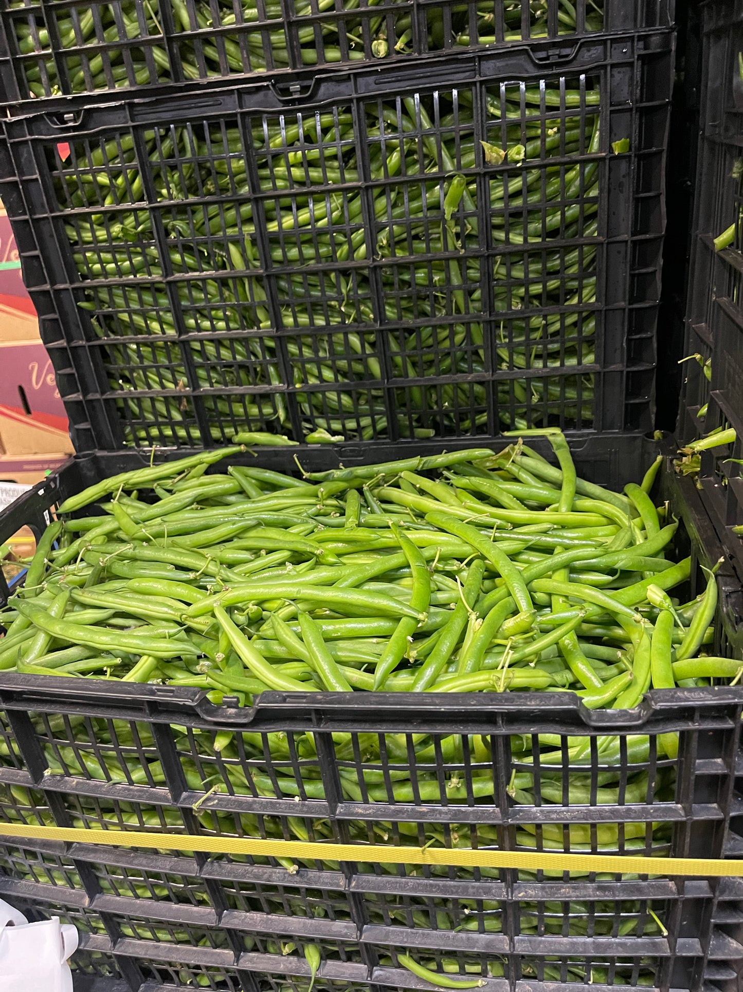Green Beans