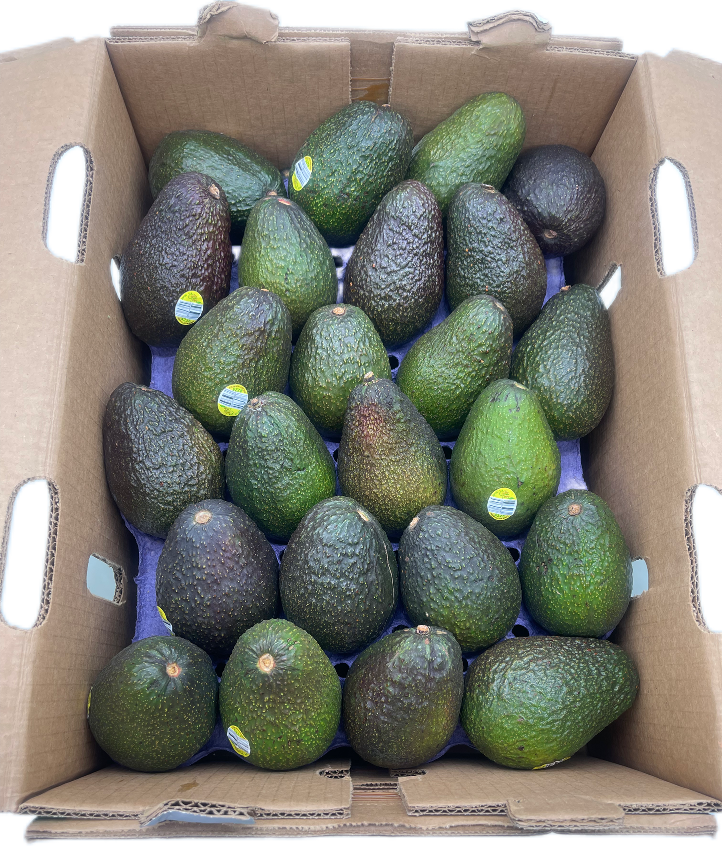 Avocados 60s Breaking