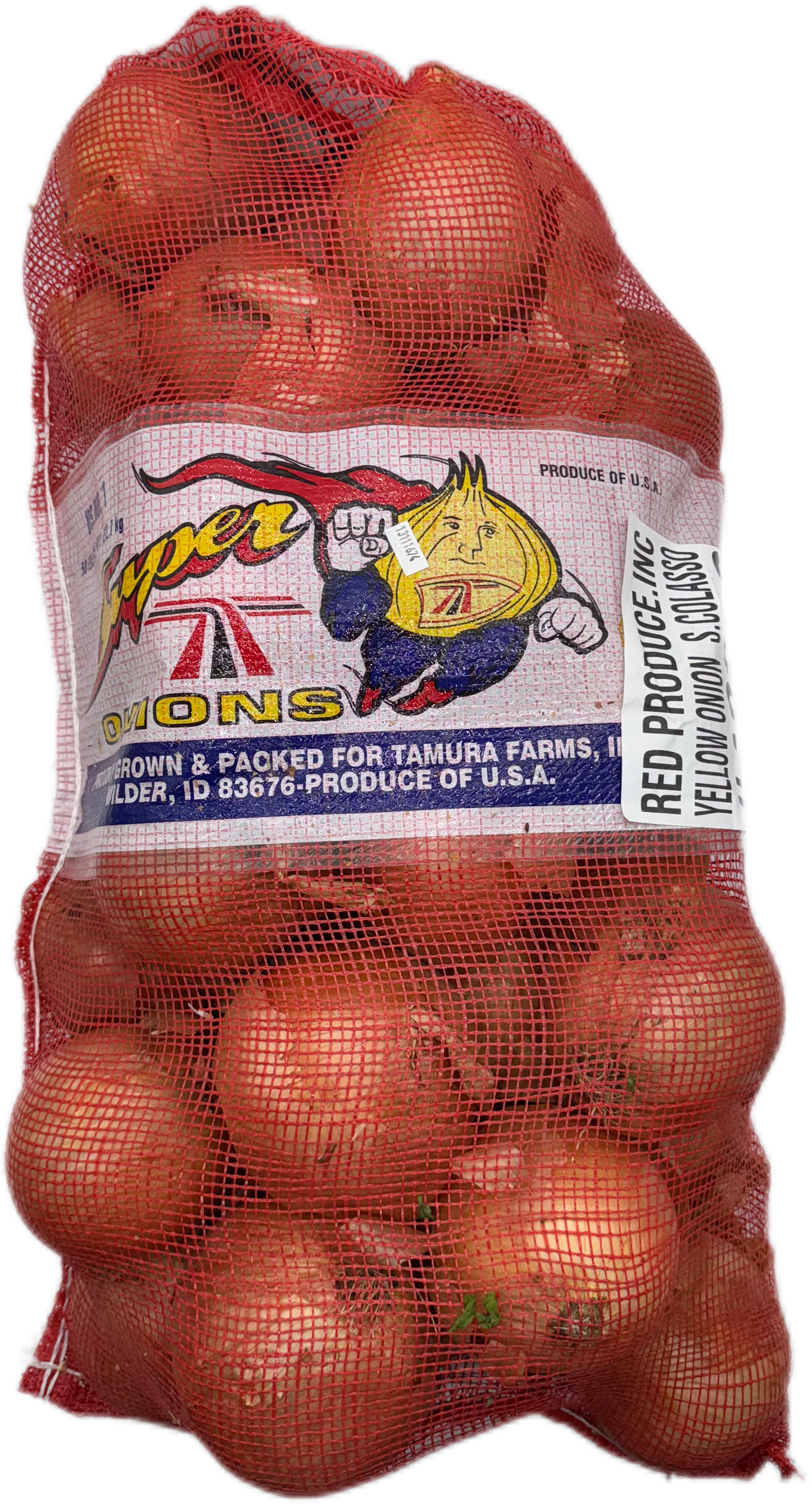 Yellow Onion XL