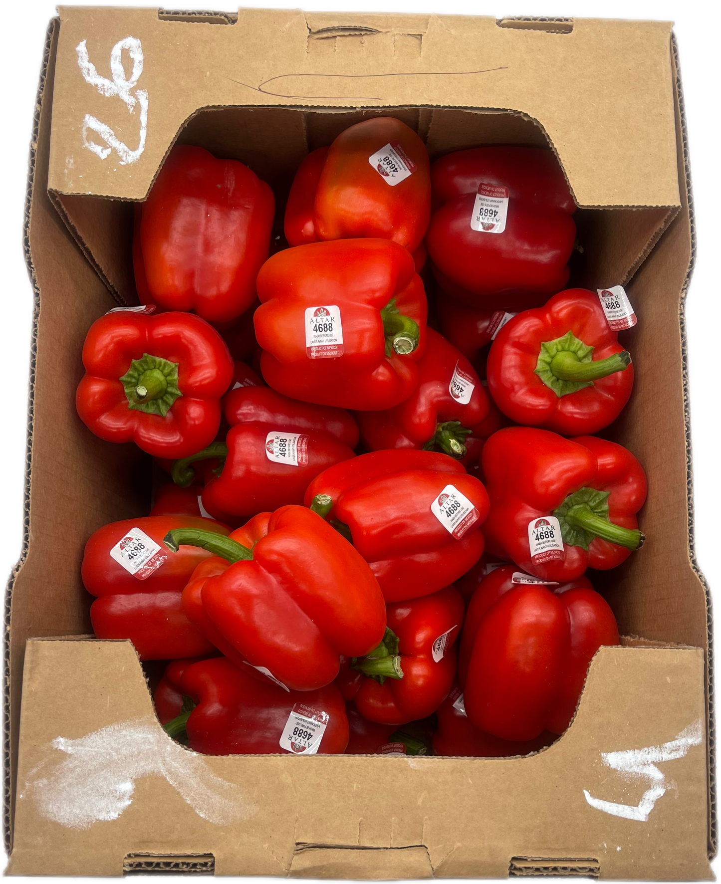Red Bell Pepper