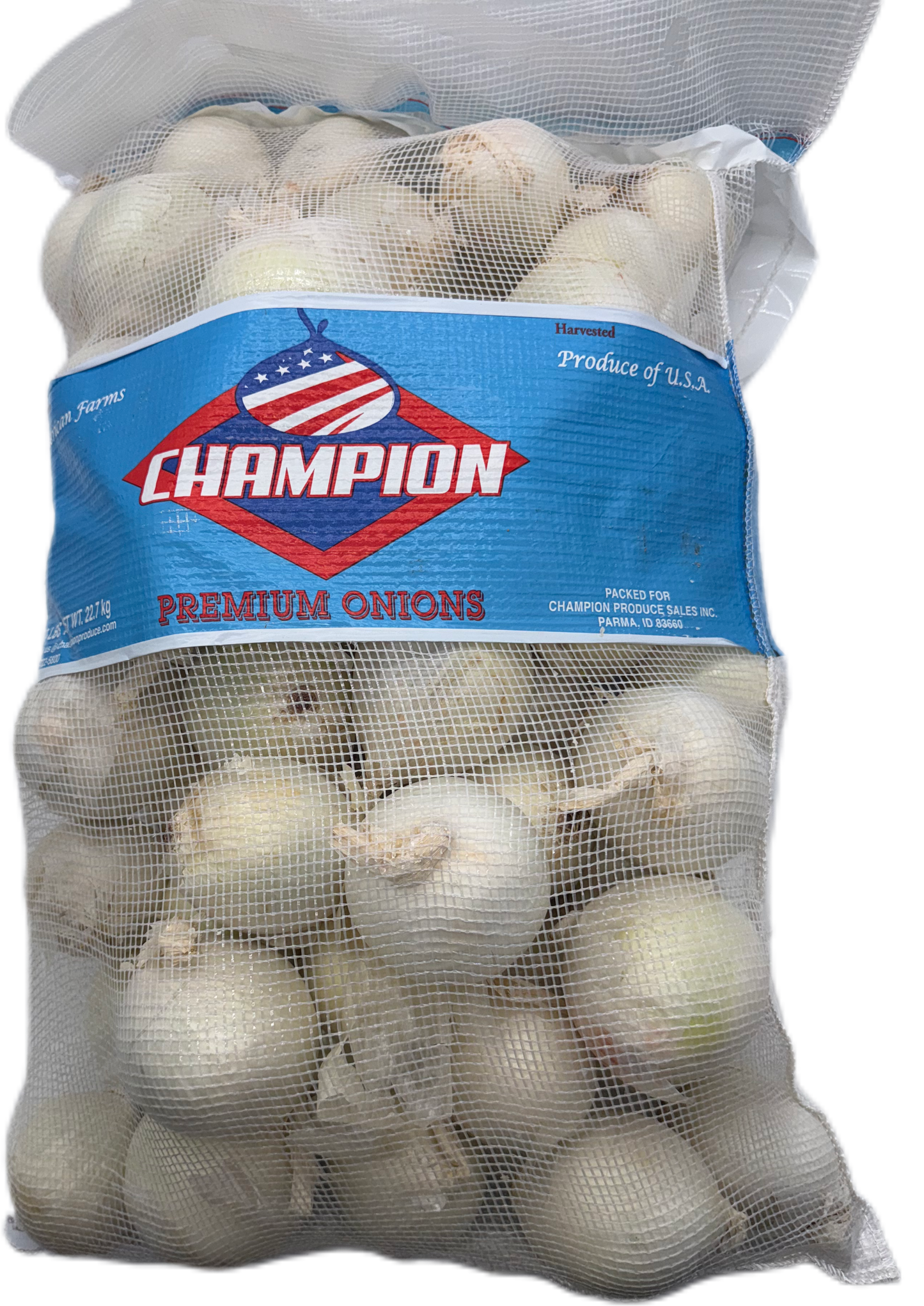 White Onion Jumbo