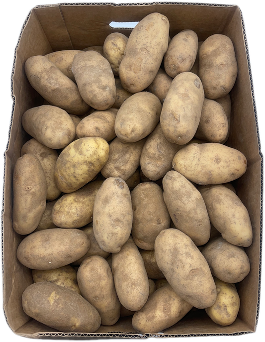 Potatoe Russet 90s