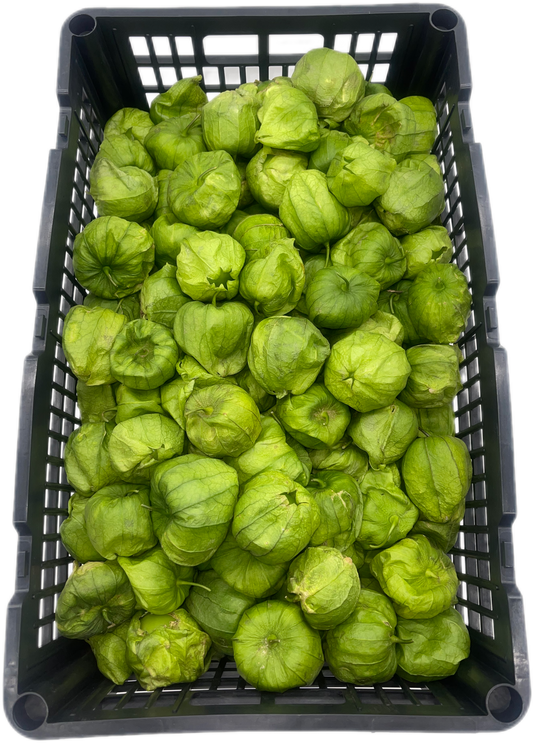 Tomatillo Husk