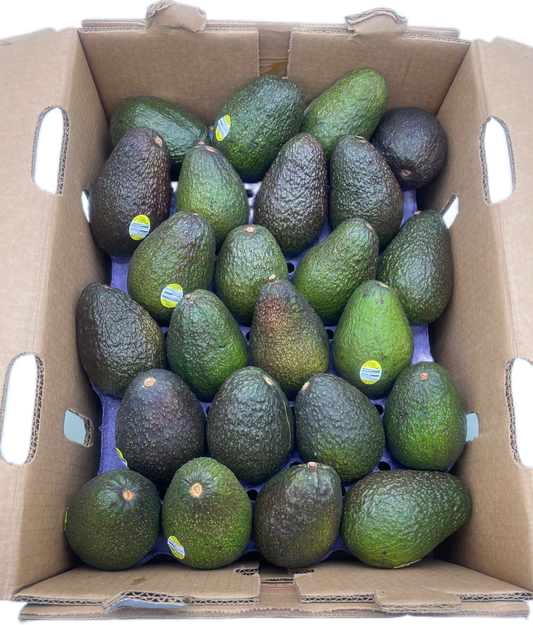 Avocados 60s Breaking