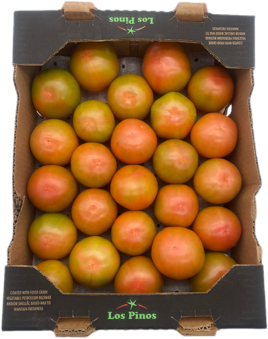 Round Tomato