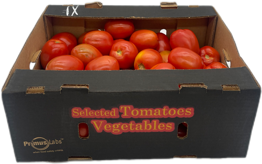 Roma Tomato Salsa