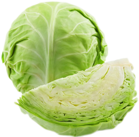 Cabbage